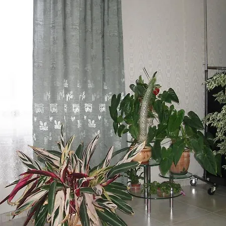 Villa Homeminsk Valerianovo *